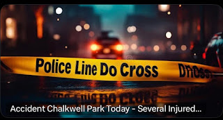 Several Injured After Tree Falls in Chalkwell Park, Southend – Emergency Services Respond to Serious Incident